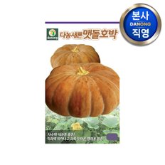 맷돌 호박 씨앗 30립 . 멧돌 채소 야채 텃밭 파종 재배 주말 농장 씨 종자