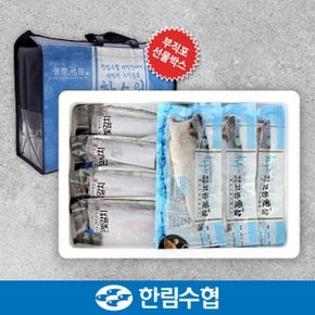 [제주 한림수협] 제주 은갈치&순살 고등어 선물세트 2호 (은갈치 300g x 3팩 고등어 120g x 10팩) / 부직포가방