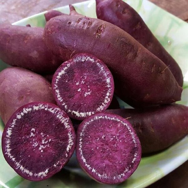 24년 소리팜 해남 자색고구마 3kg (특상)
