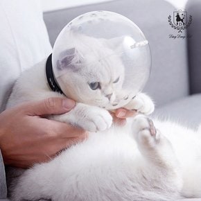 고양이 안전장치 우주헬멧 입마개