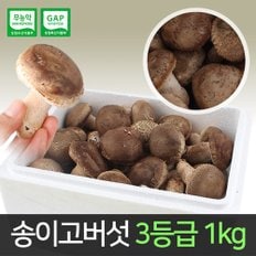 [산지직송] 송이고버섯 3등급 1kg /당일수확