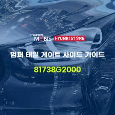 범퍼 테일 게이트 사이드 가이드 (81738G2000)