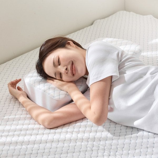 프리미엄 듀라쿨 아이스냉감 3D 경추 메모리폼 베개