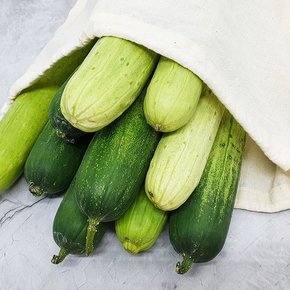 백다다기 오이 특품 3kg
