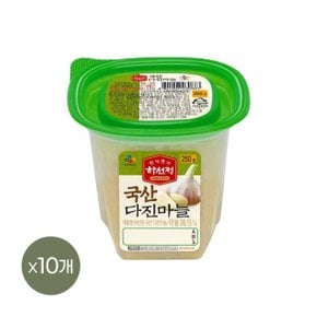 하선정 다진마늘 250g x10개