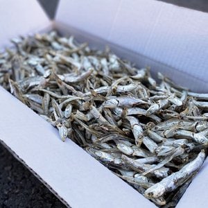  중상급 주바멸치 1.5kg 무료배송 가정용 육수멸치 멸치
