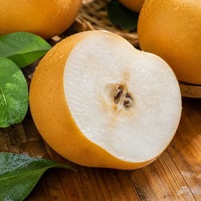 시원아삭한 가정용 신고배 5킬로 (8-9과)