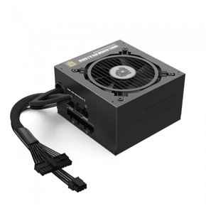 SKULL 850SM 모듈러 ATX3.1 80PLUS골드 품위