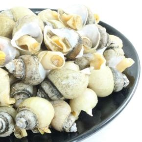 국내산 자숙 골뱅이 850g x 1팩[36156159]