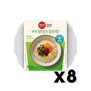 햇반 컵반 아삭 열무김치 찰보리밥 즉석간편조리 295.2g x 8개