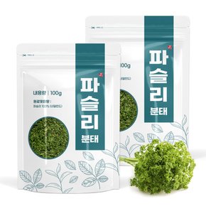 파슬리 분태 100g x 2개 가루 후레이크 작은입자