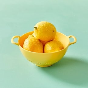 레몬코스타 멜라민 채반 옐로