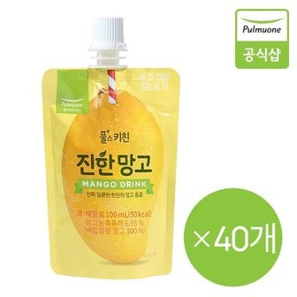 풀무원 풀스키친 진한 망고주스 (100mlX40EA)