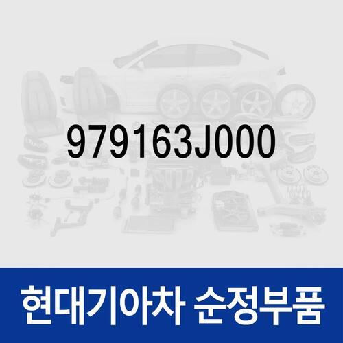 익스팬션 밸브 (에어컨 팽창밸브) (979163J000) 베라크루즈
