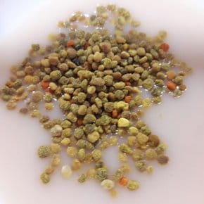 천연 벌화분 1kg 먹는 꿀벌 화분 다래화분(건조화분)