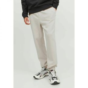 5170046 Jack  Jones STGORDON BRADLEY GMS - Tracksuit bottoms moonbeam