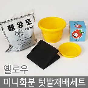 미니화분 텃밭재배세트 옐로우