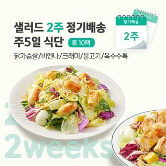 포켓샐러드 샐러드 2주 정기배송 주5일 (닭가슴살1+비엔나1+크래미1+불고기1+옥수수1)