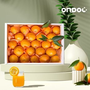 [온도씨]제주 카라향(귤로향) 선물세트 4.5kg(중과/18-30과내외)