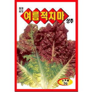  여름 적치마 상추씨앗 3g