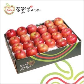 사과 소과 5kg(20~23과)