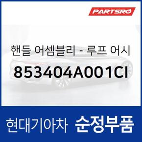 실내 천장 손잡이 (루프 어시스트 핸들) (853404A001CI)  스타렉스, 스타렉스 특장