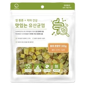 맛있는 유산균껌 황태 혼합 300g 강아지 간식