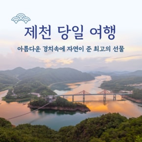 [당일여행] 아름다운 경치속에 자연이 준 최고의  선물 제천 황금나무와 여행친구들