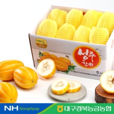 대구경북능금농협 성주 꿀 참외 5kg 14-20과 정품 로얄과 산지직송
