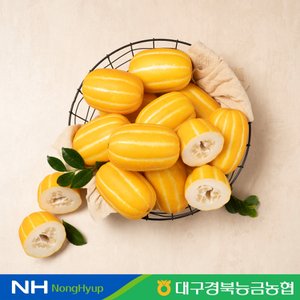대구경북능금농협 성주 꿀 참외 5kg 14-20과 정품 로얄과 산지직송