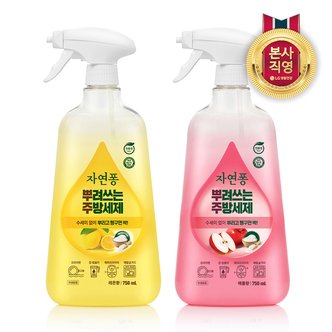  자연퐁 뿌려쓰는 주방세제 용기형 750ml x 2개 (레몬향/애플향 택1)