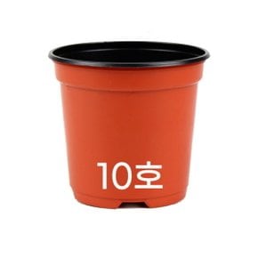 모두다 국내생산 플라스틱화분 플분 모종화분 이색포트 10호 적색