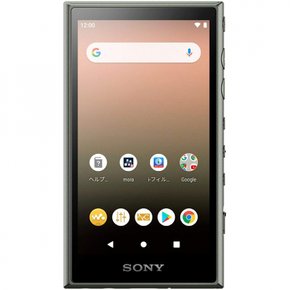 소니 워크맨 32GB A 시리즈 NW-A106 : 고해상도 대응  애쉬 그린 NW-A106 GM