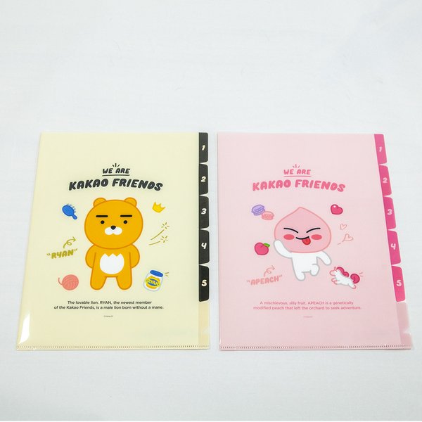 확대된 대표 대표이미지