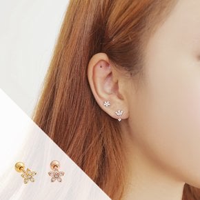 피어싱어쿠르 (Z505)