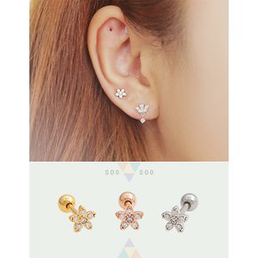 피어싱어쿠르 (Z505)