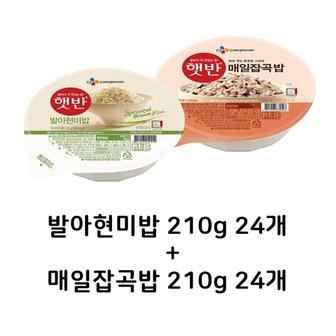  햇반 발아현미밥 210g 24개+ 매일잡곡밥 210g 24개