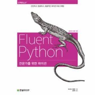 웅진북센 전문가를 위한 파이썬(FLUENT PYTHON)