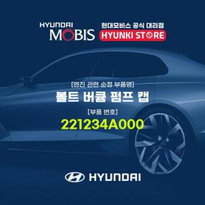 볼트 버큠 펌프 캡 (221234A000)