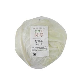 하루채소 양배추