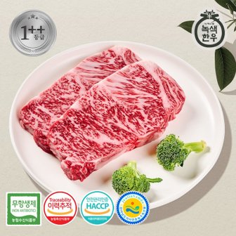 [녹색한우] 무항생제 1++등급 한우 채끝 300g