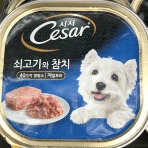 시저 Cesar 쇠고기와 참치 애견 반려견 사료 100g (WA6AED8)