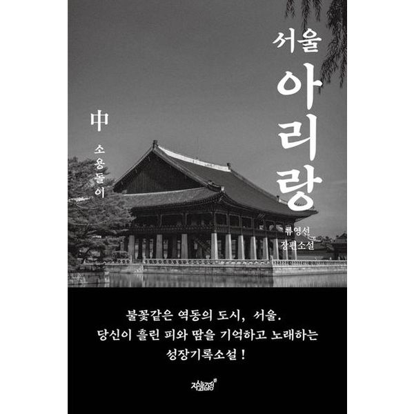 서울 아리랑(중): 소용돌이