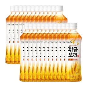 오늘의 차 황금보리 500ml x 24개