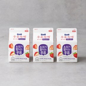 우유속에 딸기과즙 300ml 3입 기획