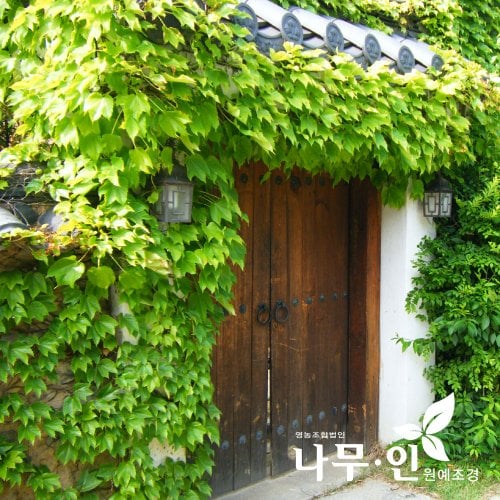 상품이미지2