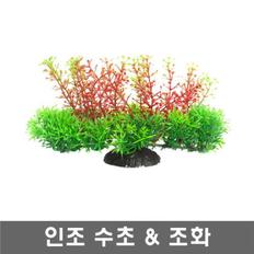 열대어놀이터 수족관 장식용수초 3개 음성수초 전경초