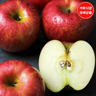 맛다름 새벽경매[국산] 꿀사과(3후반) 1.6kg내외(6~8입내)