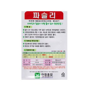 파슬리씨앗 500립 파세리 종자