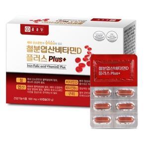 철분엽산비타민D 플러스 500mgx 60캡슐 철 엽산 비타민D B12 구리